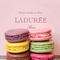 Los Macarons están de moda